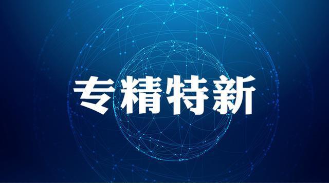 济南申报专精特新小巨人企业需要准备的材料